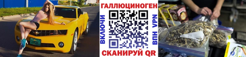 Псилоцибиновые грибы Psilocybe  Купить где  Топки 
