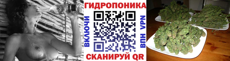 Бошки марихуана AK-47  Купить закладки  Топки 